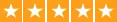 Star Review Icon